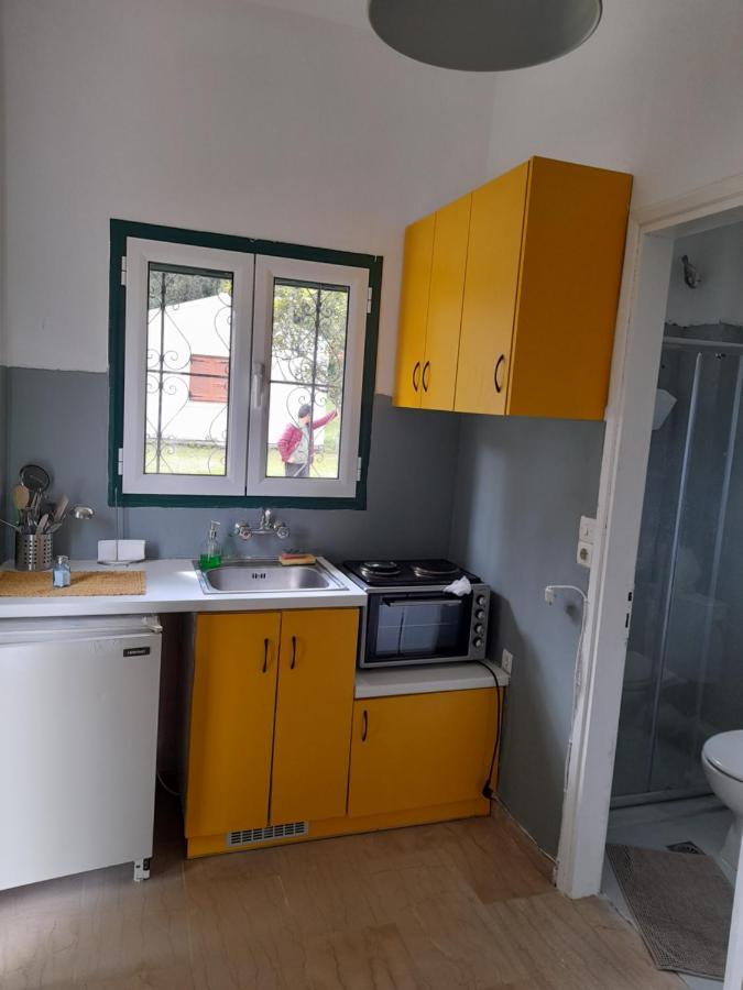 Olive Terra Holiday Aparments Lefkímmi Eksteriør billede