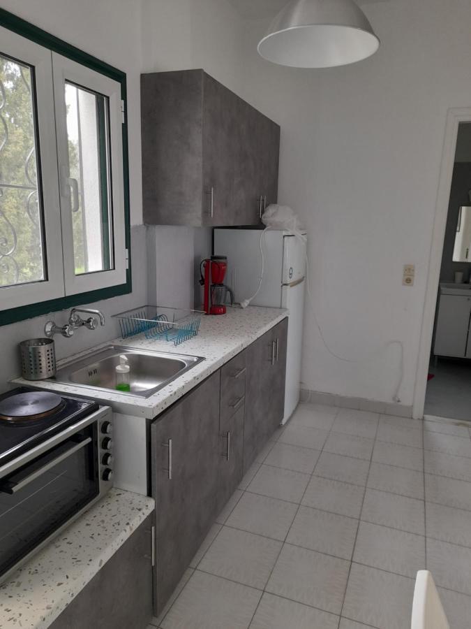 Olive Terra Holiday Aparments Lefkímmi Eksteriør billede